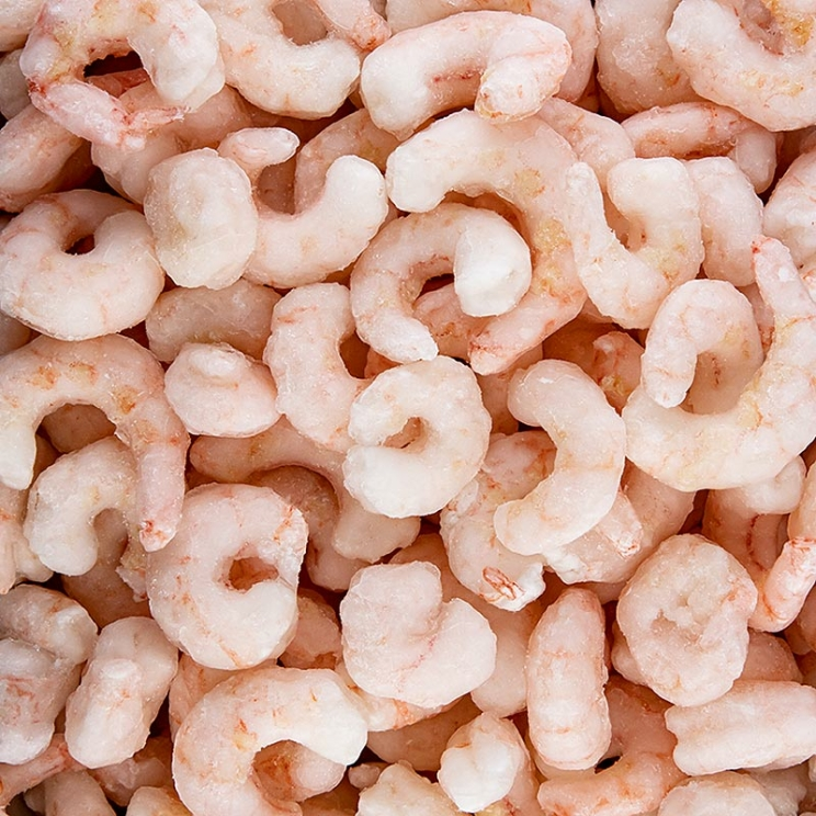 Eismeergarnelen geschält, gekocht, glasiert, 1 kg
