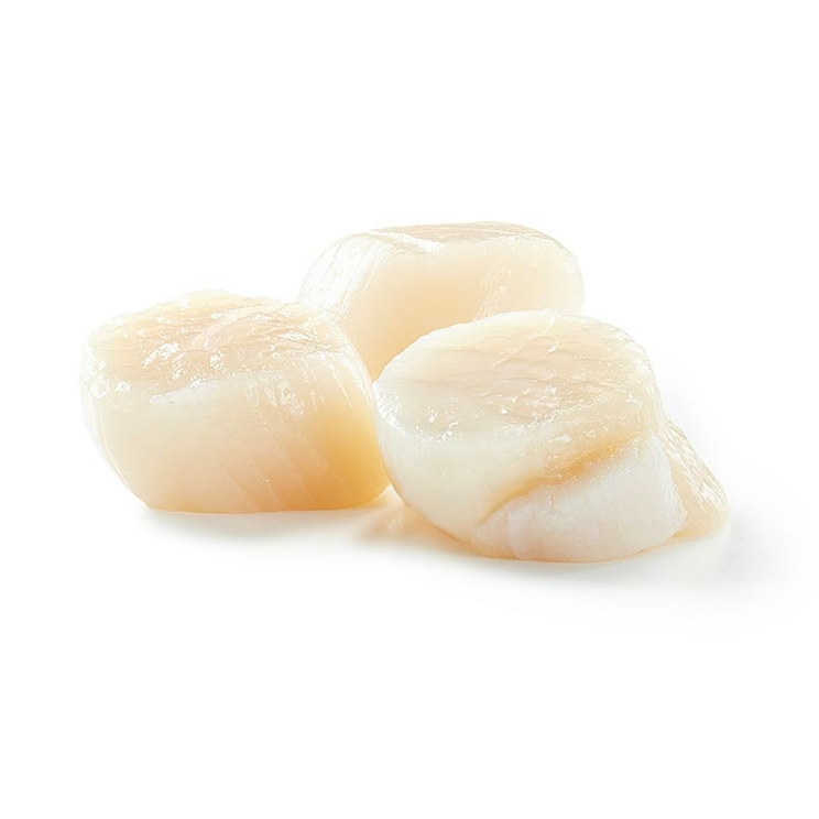 Kanadische Jakobsmuscheln Größe L, ca. 7 Stück, 200 g