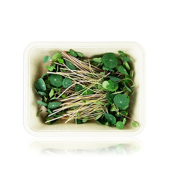 Kapuzinerkresse Microgreens
					ganz junge Bl&auml;tter / Keimlinge, vollgepackt, 50 g
				