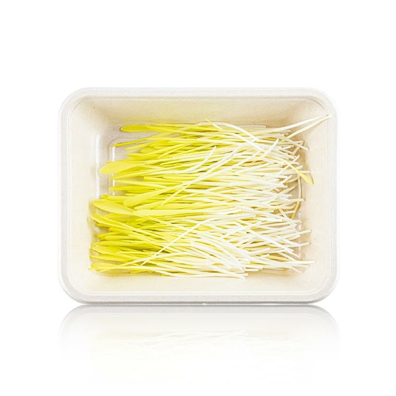 Mais Microgreens
					ganz junge Bl&auml;tter / Keimlinge, vollgepackt, 50 g
				