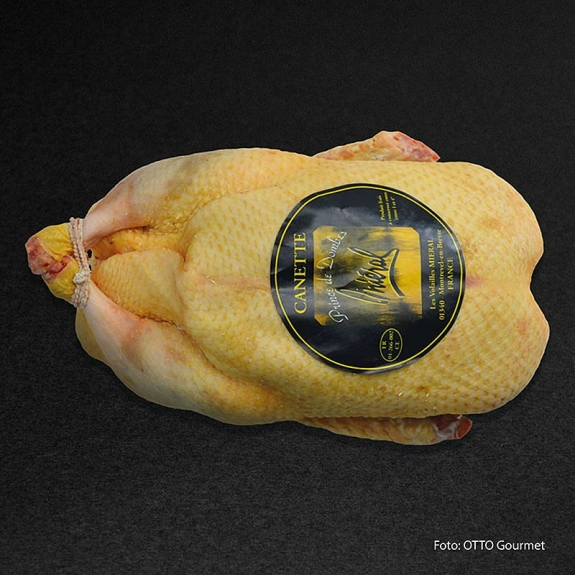 Mieral Barbarie Ente, ganz
					Le Prince de Dombes, bratfertig, Otto Gourmet, 1,6 kg
				