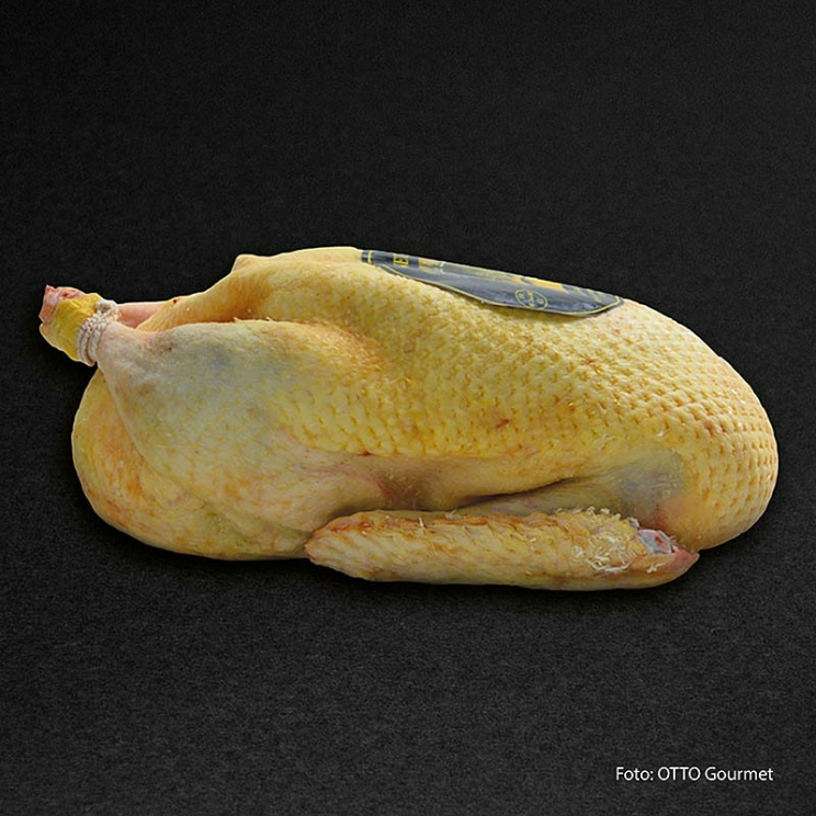 Mieral Barbarie Ente, ganz Le Prince de Dombes, bratfertig, Otto Gourmet, 1,6 kg