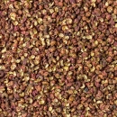 Sichuan/Szechuan Pfeffer Rot