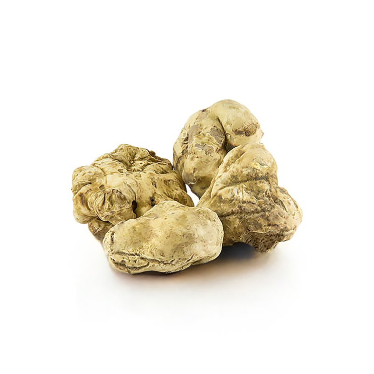 Weißer Trüffel Italien, 20 g