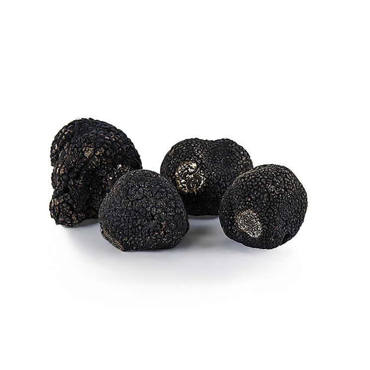 Périgord Trüffel Winter-Edeltrüffel Extra, Frankreich, 100 g
