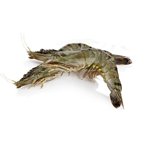 Black Tiger Garnelenmit Kopf, mit Schale
					ca. 13-15 Stück, Gourmaitre, 1 kg
				