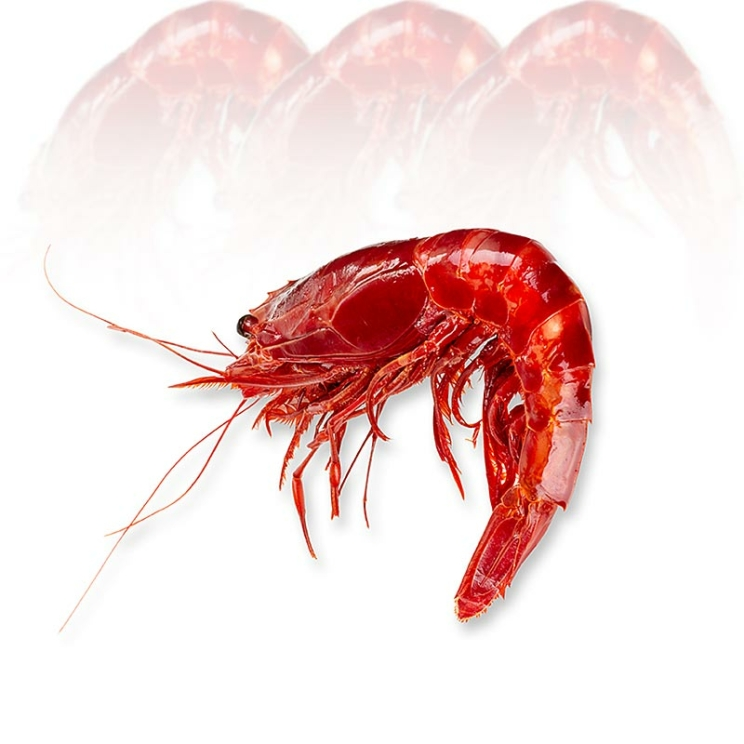 Tiefseegarnele Carabinieros Wildfang 400 g, HOSO, ca.4 St