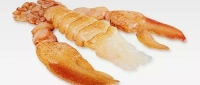 Fisch & Meerestiere