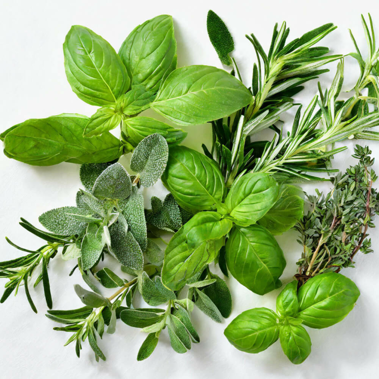 Kräuteröl Mediterran Basilikum, Oregano, Rosmarin, Salbei, Thymian, 500 ml