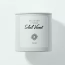 Schwarzes Salz