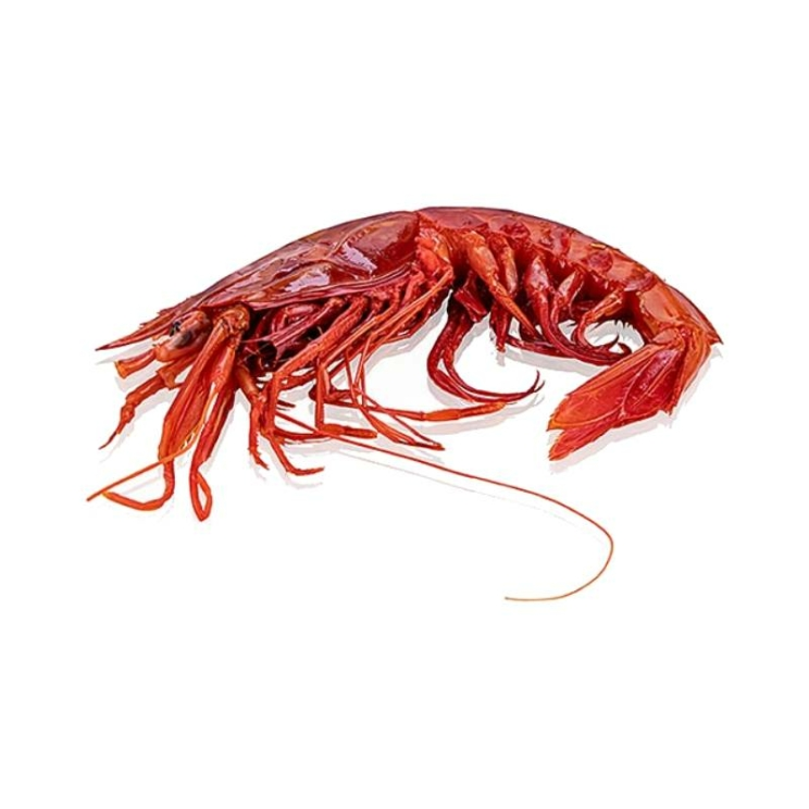 Tiefseegarnele Carabiniero 0 Wildfang, 1 kg