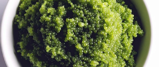 Tobiko
