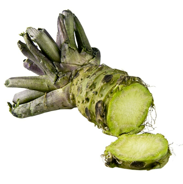 Frischer japanischer Wasabi ganz, 120 g