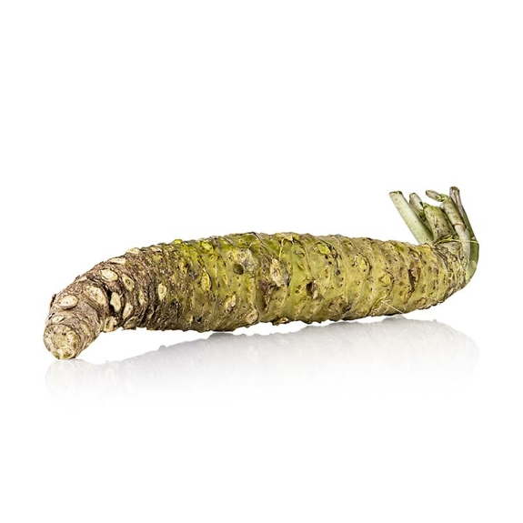 Frischer japanischer Wasabi
					ganz, 120 g
				